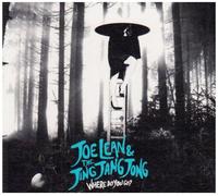 Joe Lean & The Jing Jang Jong - Where Do You Go?