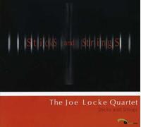 Joe Locke - Sticks Ans Stings