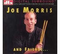 Joe Morris & Friends [DVD AUDIO]