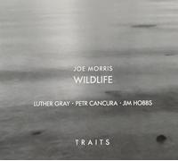 Joe Morris, Petr Cancura, Jim Hobbs & Luther Gray - Traits