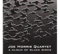 Joe Morris Quartet - A Cloud Of Black Birds