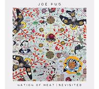 Joe Pug - Nation Of Heat / Revisited [10" VINYL]