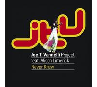 Joe T.Project Vannelli - Never knew (feat. Alison Limerick)