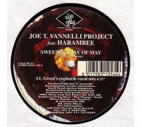 Joe T. Vannelli - Sweetest Day Of May - Dream Beat - DB 015
