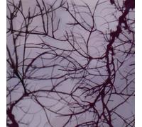 Joe Turner - Between Two Seconds