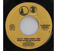 Joe Walsh - All Night Long / Orange Blossom Special / Hoedown