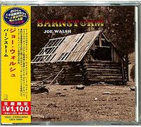 Joe Walsh - Barnstorm