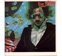 JOE WALSH - But seriously folks