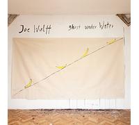 Joe Wulff - Joe Wulff: Ghost Under Water - Songs for Guitar [Vinyl Version]