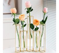 JOEBO Test Tube Vase with Metal Frame, Hinged Vases for Centerpieces, Glass Flower Vase for Table with 5 Test Tubes, Bud Display Set for Home Wedding Decor/19