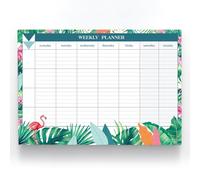 Joeji's Kitchen Weekly Planner Pad Tear Off Sheets 60 Pages A4 Organiser 100 GSM Offset Paper Punched Hole for Hanging Plan Your Weekly Timetable (Aqua)