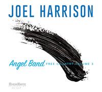 Joel Harrison - Angel Band: Free Country Volume 3