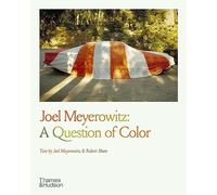 Joel Meyerowitz: A Question of Color