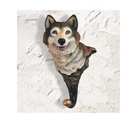 Joel Rafael - Rose Avenue