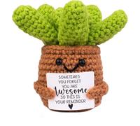 JOEPACXIC Handmade Positive Crochet Succulents Gifts for Women Friends Inspirational Gift for Daughter Birthday Gifts Idea (Reminder)