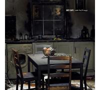 Joey Cape - A Good Year To Forget