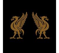 Joey Cape & Jon Snodgrass - Liverbirds