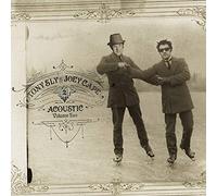 Joey Cape & Tony Sly - Acoustic Vol.2 [VINYL]