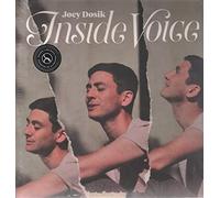 Joey Dosik - Inside Voice [VINYL]