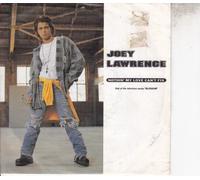 Joey Lawrence - Nothin' My Love Can't Fix
