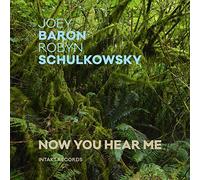 Joey & Robyn Schulkowsky Baron - Now You Hear Me