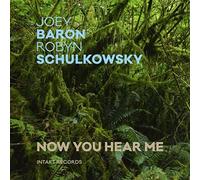 Joey & Robyn Schulkowsky Baron - Now You Hear Me