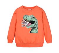 Jogging Bottoms Boys Complete Small Boys Girls Children Unisex Cartoon Animals Dinosaur Printed Sweatshirt Pullover Hoodie For Girls Boys Shirt Shorts Set, orange, 7-8 Years