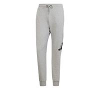 Adidas Essentials Big Logo French Terry Joggers Grey 2XL / Regular Men