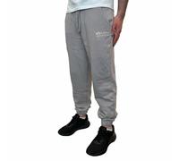Jogging Trousers Alpha Industries Organics EMB Regular Gris M
