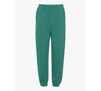 Jogging Trousers Colorful Standard Organic Pine Green Vert L