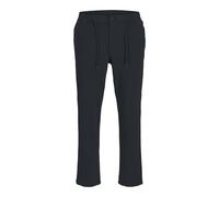 Jack & Jones Ace Neo Pants Blue L Men
