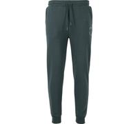 Jogging Trousers Virtus Harwick Vert L