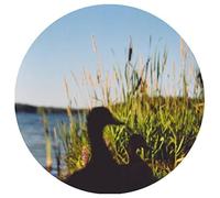 Johan Kaseta Erefora Land [Single]