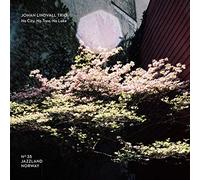 Johan Lindvall Trio - No City, No Trees, No Lake