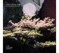 JOHAN LINDVALL TRIO: NO CITY. NO TREES. NO LAKE - CD BRAND NEW