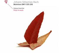 Johann Sebastian Bac - Motetten BWV 225 - 230 - Vinyl Record - N4z