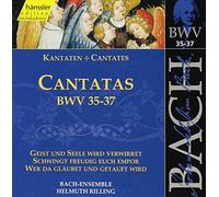 Johann Sebastian Bach - Bach: Cantatas, BWV 35-37 (Edition Bachakademie Vol 12) /Rilling