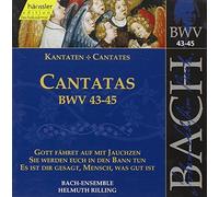 Johann Sebastian Bach - Bach: Cantatas, BWV 43-45 (Edition Bachakademie Vol 15) /Rilling