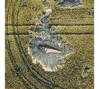 Jorg Halubek, il Gusto Barocco - Bach: Partita & Concertos