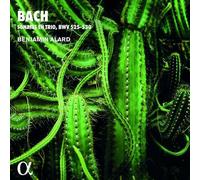 Johann Sebastian Bach : Bach: Sonates En Trio, BWV525-530 CD (2021) NEW