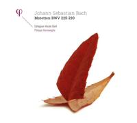 Johann Sebastian Bach : Johann Sebastian Bach: Motetten, BWV 225-230 Vinyl 12"