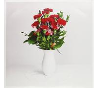 Johannes Albert - Hotel Novalis [VINYL]