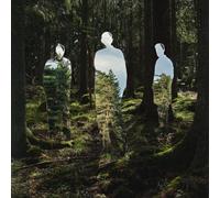 Johannes Brecht Trio - Disparatre [VINYL]
