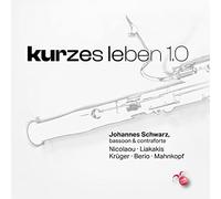 Johannes Schwarz - kurzes leben 1.0