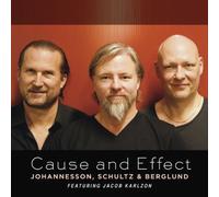 Johannesson/Schultz/Berg - Cause and Effect