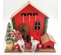 Johiux Pack of 16 Miniature Gnome Door Accessories Dollhouse Christmas Gnome Door Set with Mini Light Chain, Christmas House Wooden Craft Set Children Christmas Decorations Gnome Accessories Nativity