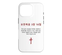 John 3:16 - Korean Christian Evangelism Gospel Bible Verse Case for iPhone 16 Pro