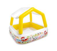 Intex Sun Shade Pool