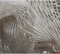 John Beltran - Everything At Once