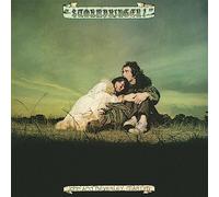John & Beverley Martyn - Stormbringer! [VINYL]